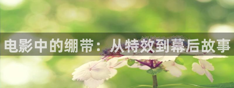 久久久影院亚洲影院