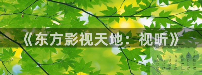 国产精品久久久久久亚洲影视