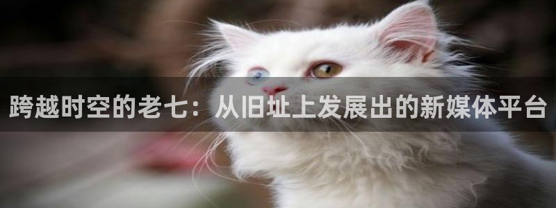 久久久电影网址