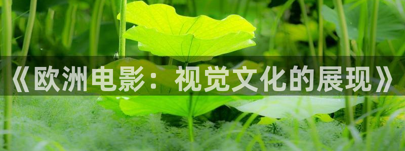 久久视频日本