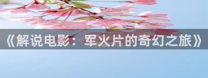 ,国产精品久久久久视频