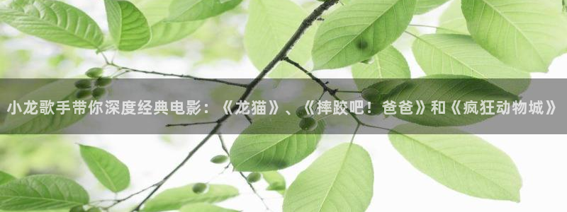 久久视频精彩