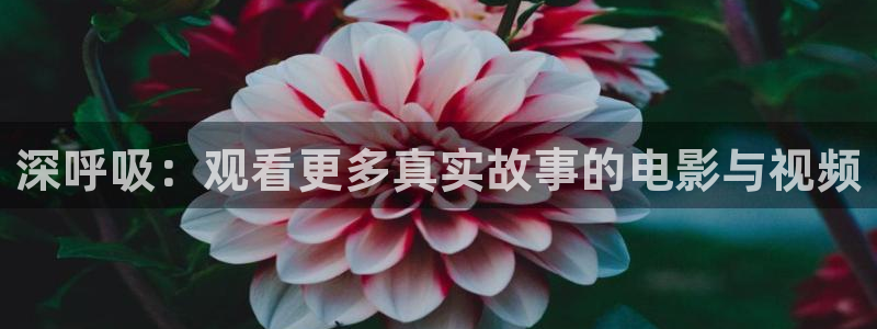 久久久久久久亚洲精品点影院