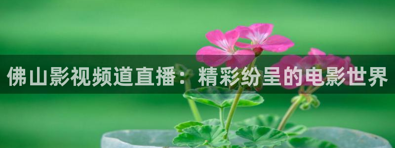 www,久久视频