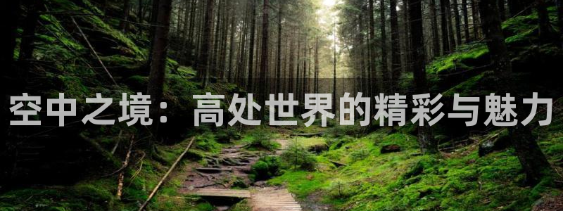 精品国产18久久久久久依依影院