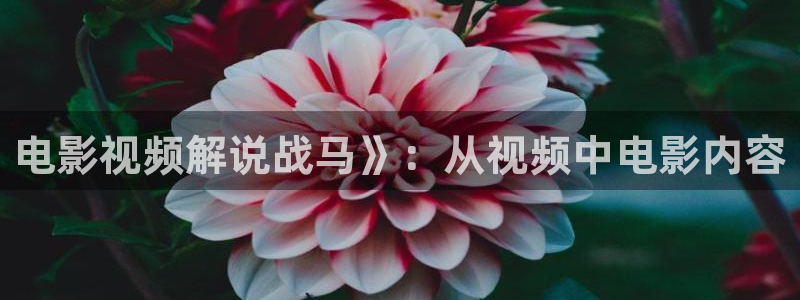 新闻图片