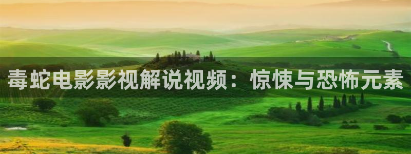 久久久免费视频天天看