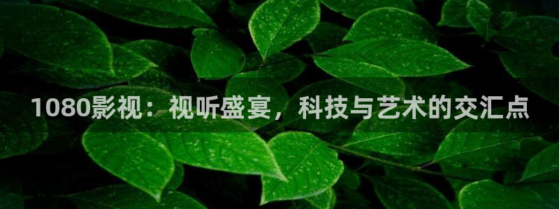 久久久1视频