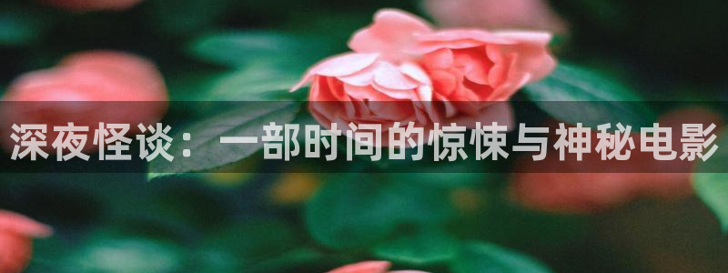 国内精品伊人久久久久影院对白