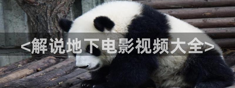 国产精品久久久久久电影院