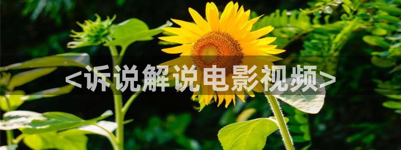 国内久久久久影院