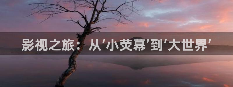 久久久久久久午夜电影网