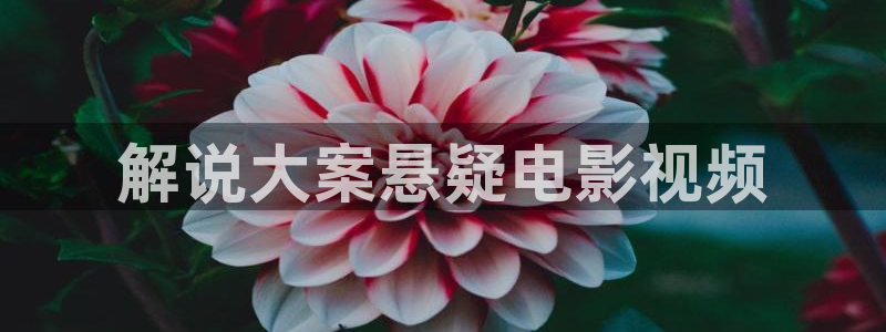 久久视频有精品久
