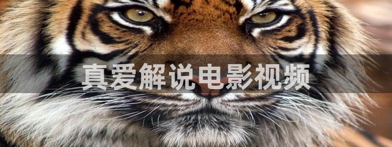 99热久久视频
