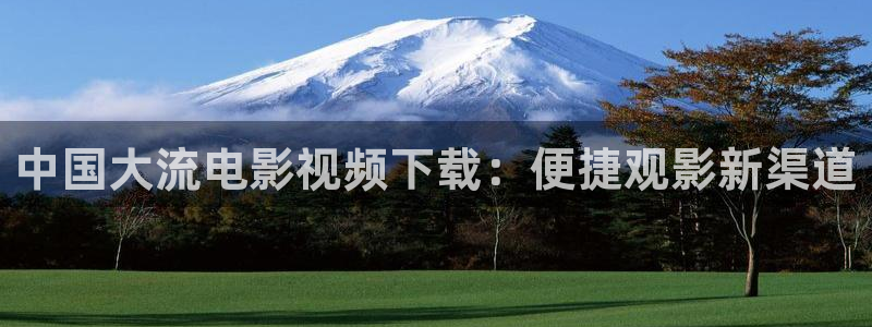 久久视频日韩