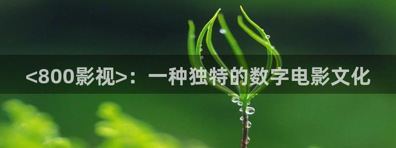 久久久影院网