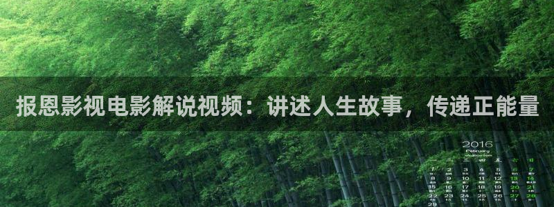久久视频在线观看免费视频