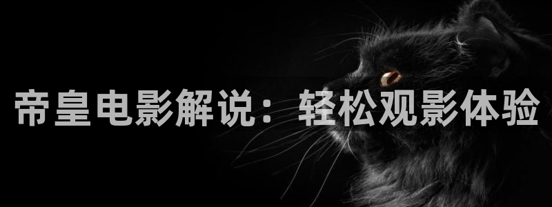 熟妇久久视频