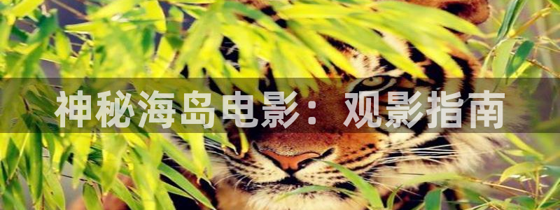 久久久久亚洲免费视频
