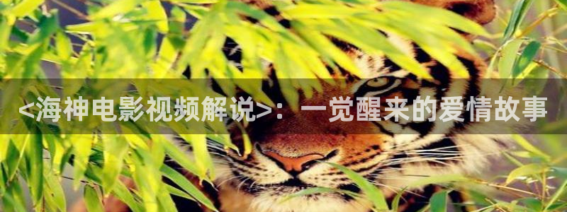 999久久久影院