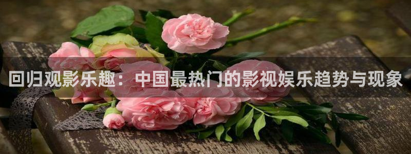 伊人久久久影院