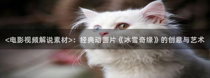 久久久久视频在线免费观看