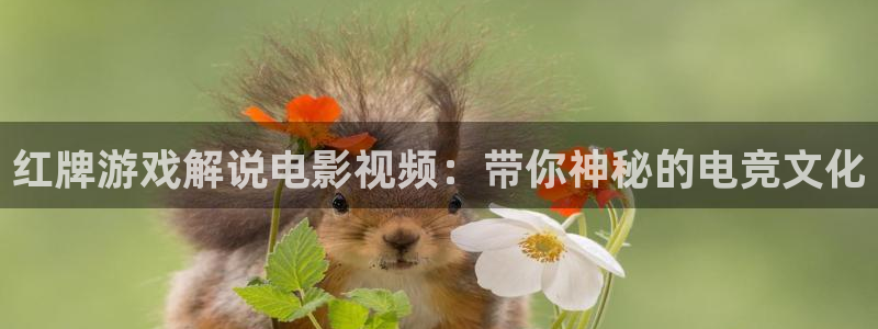 久久久在线看片