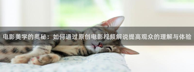 久久视频久久视频99视频