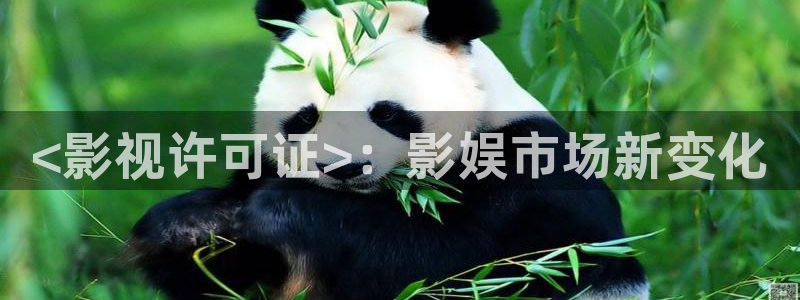 偷拍久久视频
