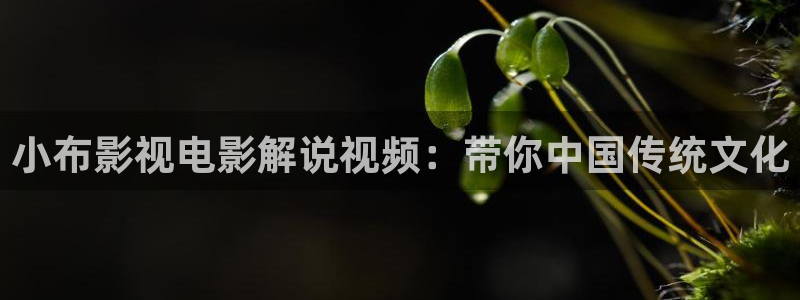 国产精品久久久久免费视频