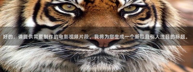 久久久久久熟女视频