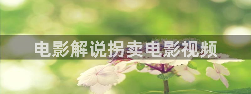 久久视频只有这精品