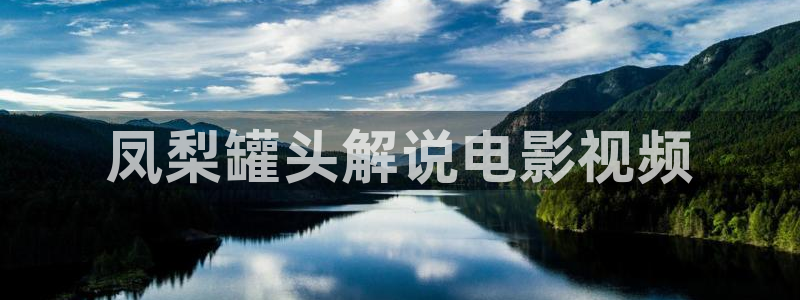 国产精品久久久久大片