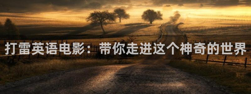 日韩精品久久久久久久电影99爱