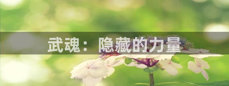 97久久久免费观看