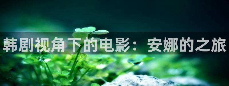 国内精品伊人久久久久av影院